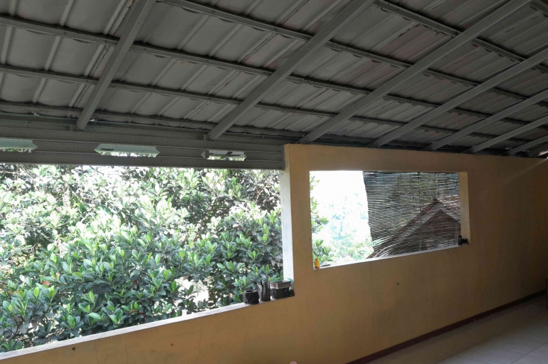 Halaman Rumah Mendadak Dipenuhi Satwa Liar, Pemilik Tak Sengaja Ciptakan “Taman Mini” Alam